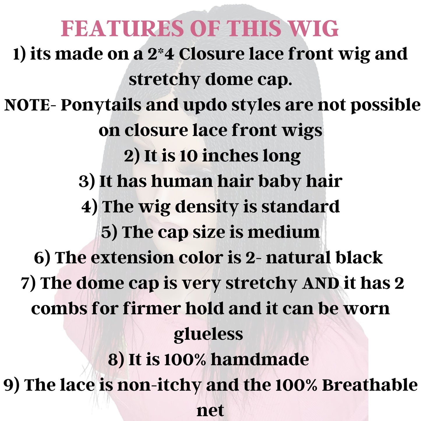 10" Short Micro Twist Wig on 2*4 Closure Lace Front Wig Braided Wis for Black Women Million Braid Wig Twisted Wigs for Women